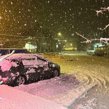 В бяла приказка се събудиха тази сутрин столичани Сняг вали