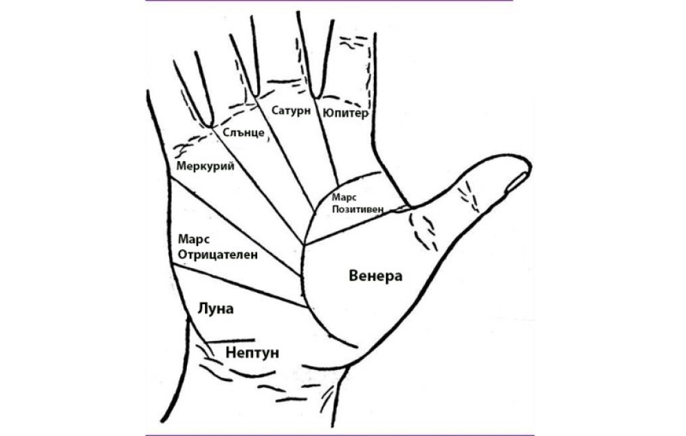 Какво показват линиите на ръката ви?