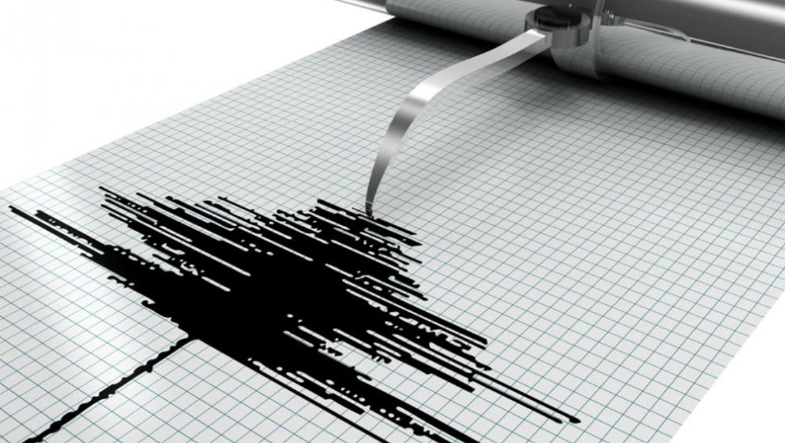 Земетресение с магнитуд 4,9 по Рихтер е било усетено в
