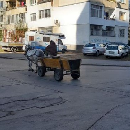 Ден след ден из социалните мрежи продължават да се срещат