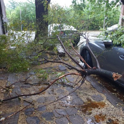 Аварийни екипи на Пожарна безопасност и общинското комунално предприятие БКС