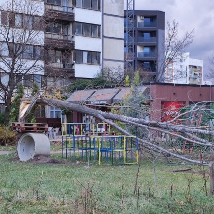 Дърво е паднало върху детска площадка алармира жена в социалните