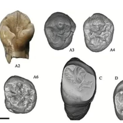В Китай е открит изчезнал човешки вид изчезнал от лицето