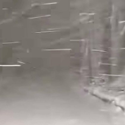 Сняг и намалена видимост обхванаха планинските проходи и различни райони