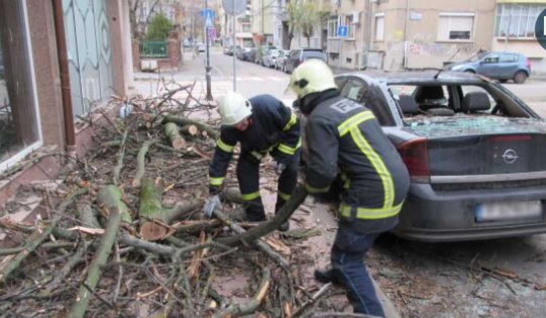 Рухна дърво в Русе, потроши коли и дом