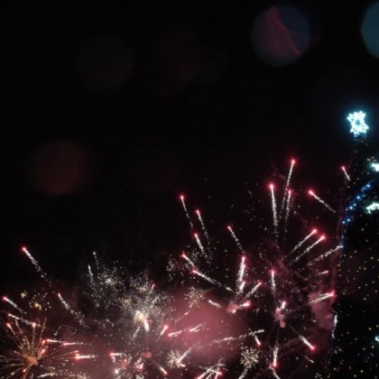 Грейна коледното дърво пред сградата на община Пловдив Светлинките украсили елхата