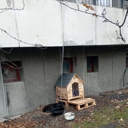 Жителка на столичния квартал Божурище предизвика широка дискусия в социалните