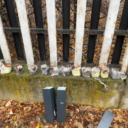 В резултат на предприетите охранителни мерки не са регистрирани по сериозни