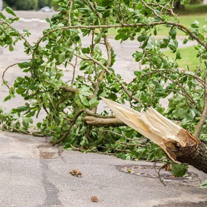 Група хора са проявили истинска човечност и отговорност като са