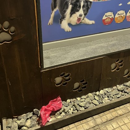 Жена от София се оплака в социалните мрежи относно безотговорността