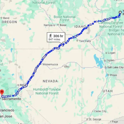 По рано тази година малка сива котка на име Рейн Боу