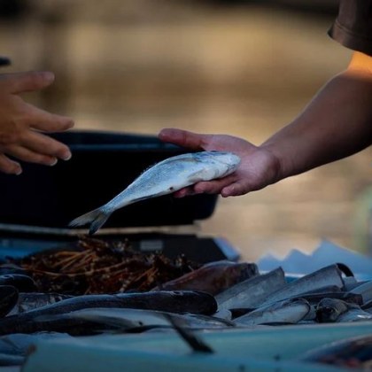 БАБХ си сътрудничи с други компетентни органи Най честите нарушения са