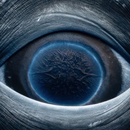 Фотографката и активистка има привилегията да прекарва много време в