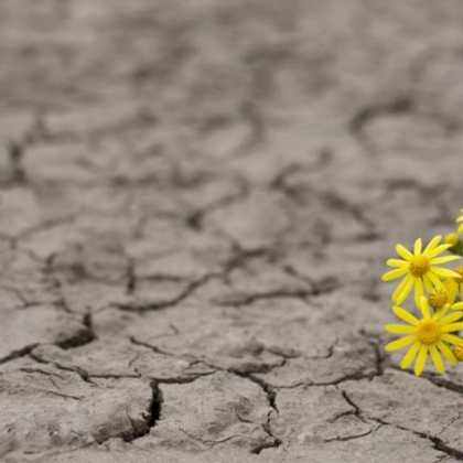 Има шанс за някаква отсрочка в сроковете които ЕК е поставила на