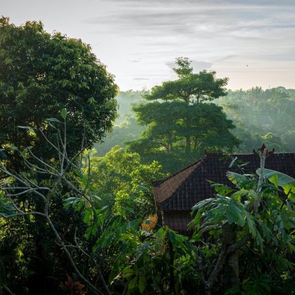 Трагедия е станала в Бали в известния природен резерват Балийска
