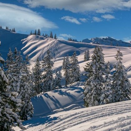 52 годишен македонски гражданин е открит в безпомощно състояние в ски