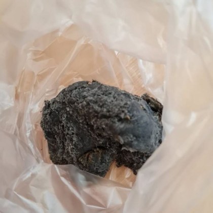 Столичанка предупреди за опасност за четириногите в един от софийските