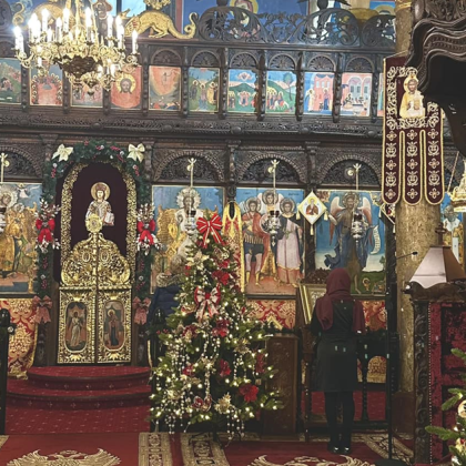 Снимка на три красиво украсени коледни елхи поставени в катедрален