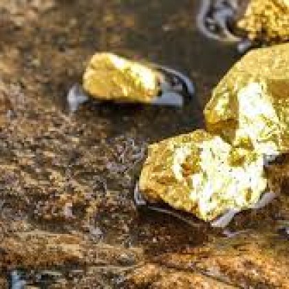 Откритие което може да пренапише историята на златодобива привлече световното