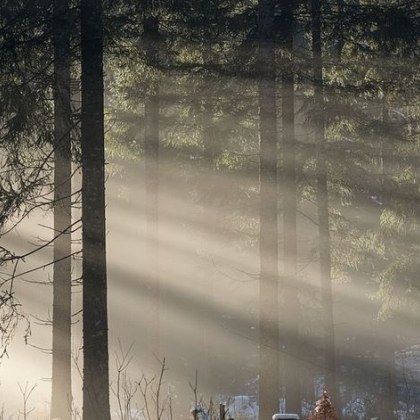 Преди обяд днес на места ще бъде мъгливо Около и