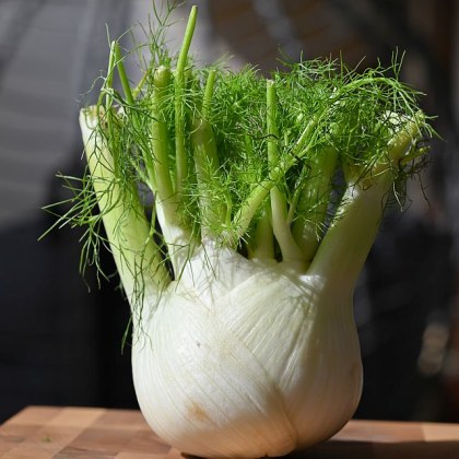 При лечние на болестите на храносмилателната система както в народната