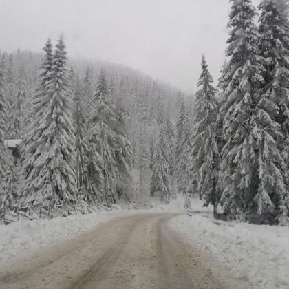 Над половин България ще има сняг за Коледа особено в