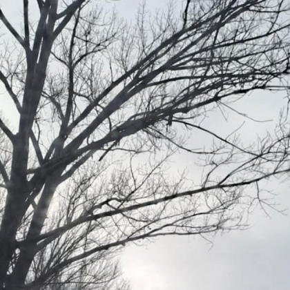 Любо Йовев публикува във Фейсбук предупреждение за потенциалната опасност на