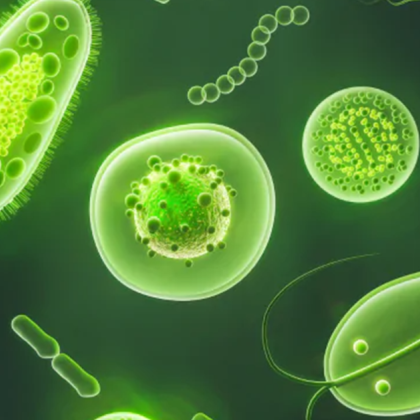 Учените са открили най важната уязвимост на бактериите устойчиви на антибиотици