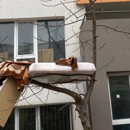 В социалните мрежи се появи снимка на матрак поставен върху