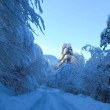 Важно предупреждение за водачите в Асеновградско СНИМКИ