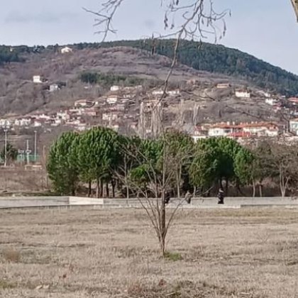 Коледно новогодишните празници са тук а това се усеща както от