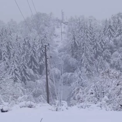 Общо 90 са населените места без електрозахранване в Западна България