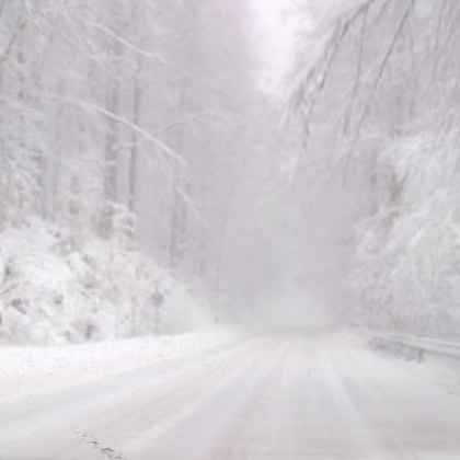 Челна катастрофа между два леки автомобила е станала на прохода
