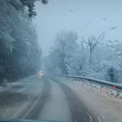 Кметът на Велико Търново Даниел Панов се включи в спасителна