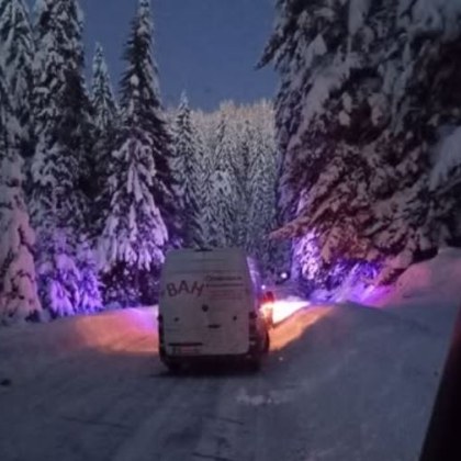 Паднало дърво затруднява движението рано тази сутрин в Смолянско Шофьор