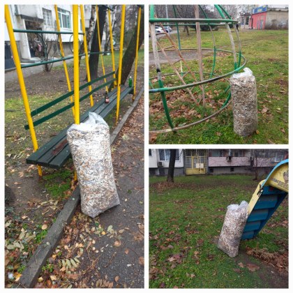 В забързаното ежедневие когато много хора подминават замърсяването около себе