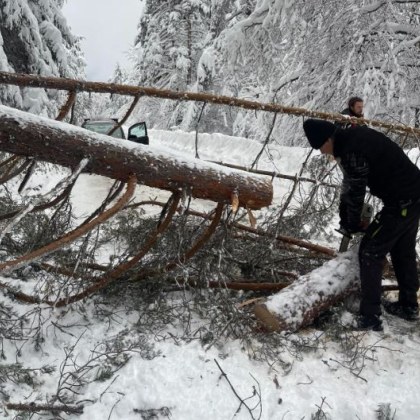 Празничният сезон винаги носи със себе си истории за доброта