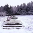 Вижте какво ще бъде времето през януари