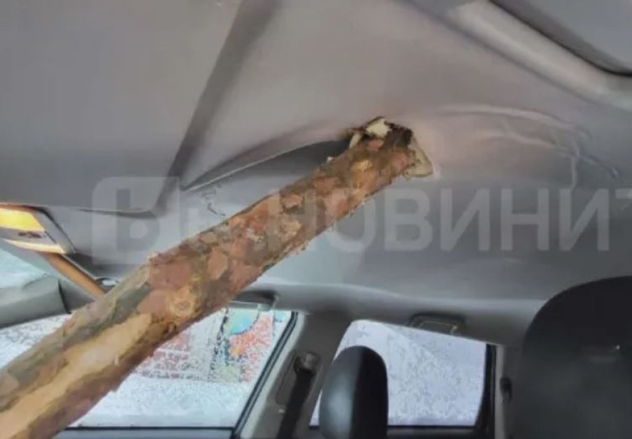 Какво е състоянието на 19-годишния, пронизан от клон във Витоша