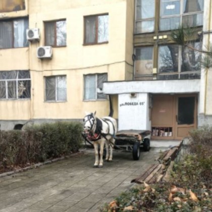 На любопитна гледка се натъкна пешеходка край жилищна сграда в