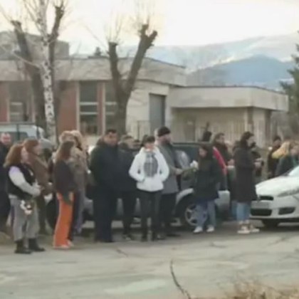 След катастрофата между кола и пет коня край Кюстендил при