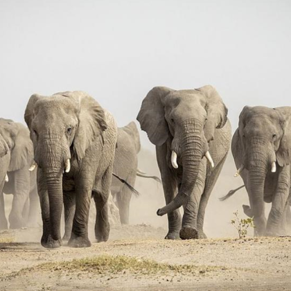 Жена на 63 години загина в дома си на индонезийския остров