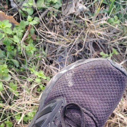 В последния ден на 2024 година дама сподели за грозна