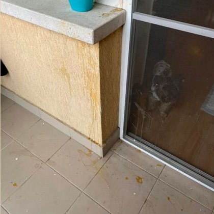 Грозно вандалщина застигна столичанка в последните дни на годината Тийнейджъри