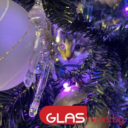 Астрологът Ания Анима разказа как да настроим енергията на последния