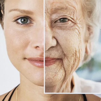 Учени създадоха революционна карта на мозъка която показва че различните