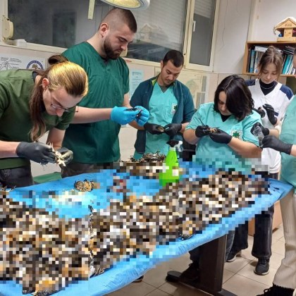 Празниците са време за радост събиране с близките и ново