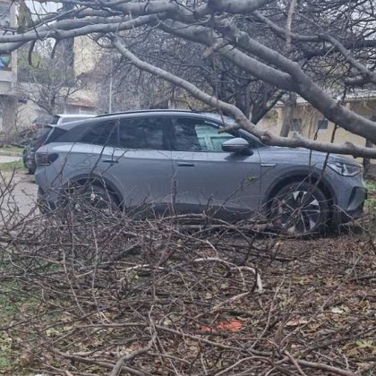 На фона на високи обществени очаквания за по голямо внимание към