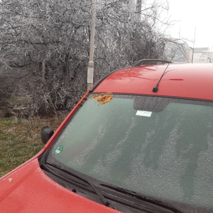 Анонимен потребител сподели снимки в социалните мрежи на които се