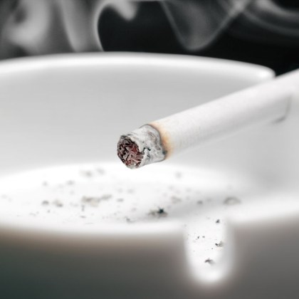 Децата правят това което виждат защото всяко четвърто дете у